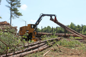 logging_3_900px