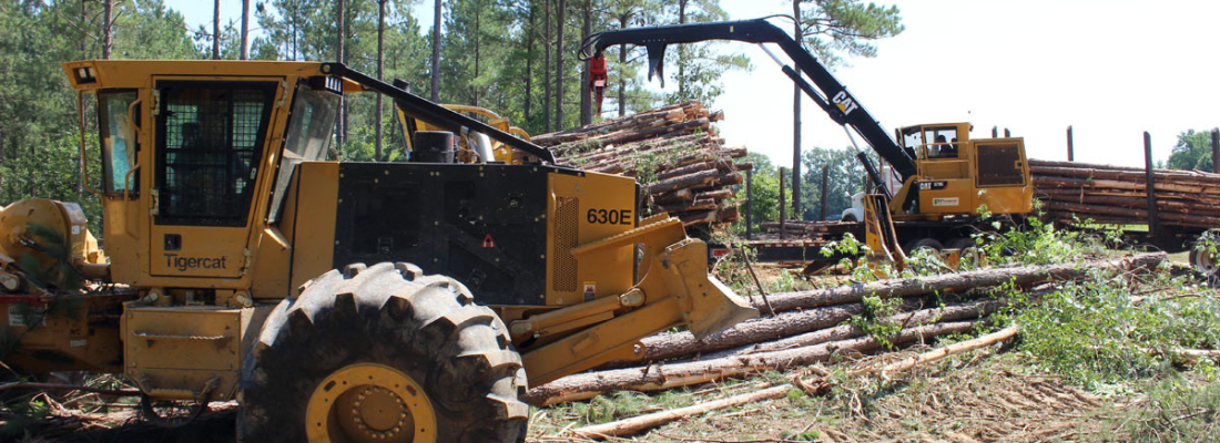 timber harvesting and logging NC VA