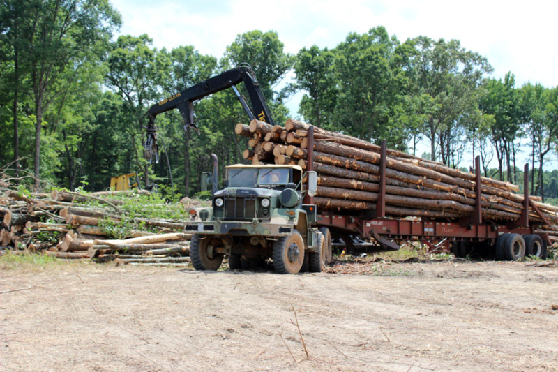 logging-job-in-granville